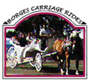 Borges Carriage Tours